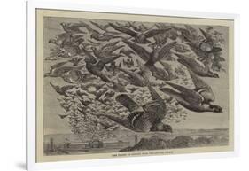 The Flight of Pigeons from the Crystal Palace-null-Framed Giclee Print