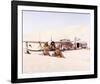 The Flight of the Phoenix-null-Framed Photo