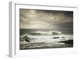 The Flight-Natalie Mikaels-Framed Photographic Print