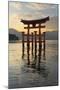 The Floating Miyajima Torii Gate of Itsukushima Shrine at Sunset-Stuart Black-Mounted Photographic Print