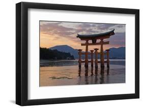 The Floating Miyajima Torii Gate of Itsukushima Shrine at Sunset-Stuart Black-Framed Photographic Print