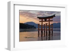 The Floating Miyajima Torii Gate of Itsukushima Shrine at Sunset-Stuart Black-Framed Photographic Print