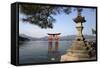 The Floating Miyajima Torii Gate of Itsukushima Shrine, Miyajima Island, Western Honshu, Japan-Stuart Black-Framed Stretched Canvas