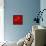 The Floating Red-Susse Volander-Framed Stretched Canvas displayed on a wall