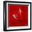 The Floating Red-Susse Volander-Framed Art Print