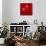 The Floating Red-Susse Volander-Framed Stretched Canvas displayed on a wall