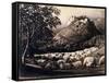 The Flock and the Star-Samuel Palmer-Framed Stretched Canvas