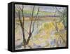 The Flooded Cherwell from Rousham II-Erin Townsend-Framed Stretched Canvas