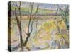 The Flooded Cherwell from Rousham II-Erin Townsend-Stretched Canvas