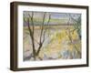 The Flooded Cherwell from Rousham II-Erin Townsend-Framed Giclee Print