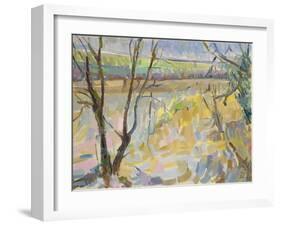 The Flooded Cherwell from Rousham II-Erin Townsend-Framed Giclee Print