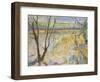 The Flooded Cherwell from Rousham II-Erin Townsend-Framed Giclee Print