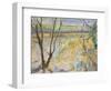 The Flooded Cherwell from Rousham II-Erin Townsend-Framed Giclee Print