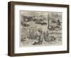 The Floods in France, Valley of Campan, on the Adour, Near Bagneres De Bigorre-null-Framed Giclee Print