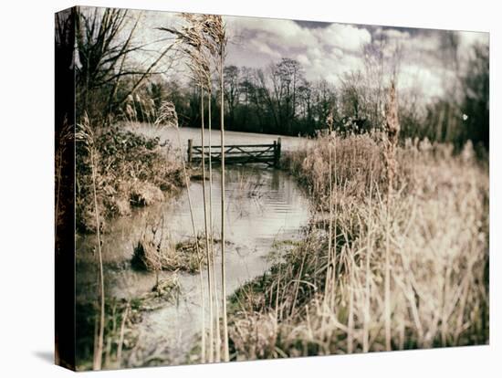 The Floods in Suffolk-Tim Kahane-Stretched Canvas