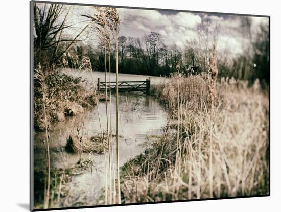 The Floods in Suffolk-Tim Kahane-Mounted Photographic Print