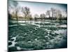 The Floods in Suffolk-Tim Kahane-Mounted Photographic Print