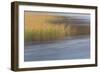 The Flow of Life-Doug Chinnery-Framed Photographic Print