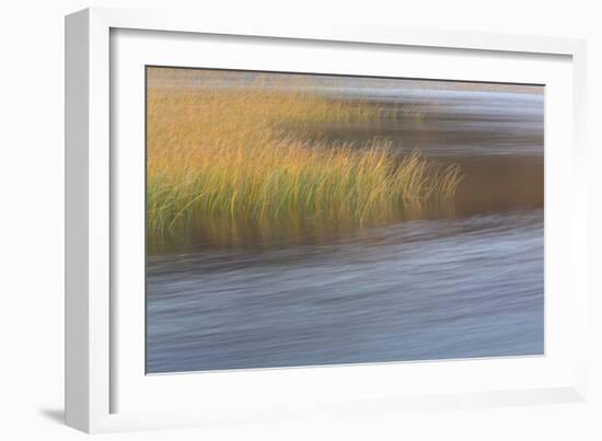 The Flow of Life-Doug Chinnery-Framed Photographic Print