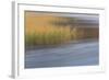 The Flow of Life-Doug Chinnery-Framed Photographic Print