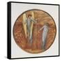 The Flower Book: VI, Flower of God, 1905-Edward Burne-Jones-Framed Stretched Canvas