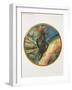 The Flower Book: XII. Ladder of Heaven, 1905-Edward Burne-Jones-Framed Giclee Print