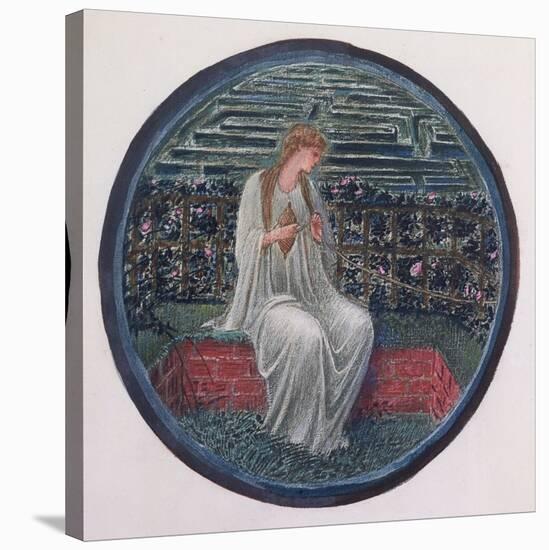 The Flower Book: XIV, Love in a Tangle, 1905-Edward Burne-Jones-Stretched Canvas