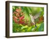 The Flower Dance VIII-Leda Robertson-Framed Art Print