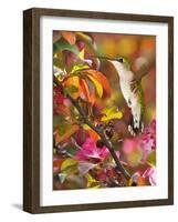 The Flower Dance XVII-Leda Robertson-Framed Art Print