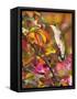 The Flower Dance XVII-Leda Robertson-Framed Stretched Canvas