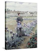 The Flower Fields-Daniel Ridgway Knight-Stretched Canvas