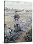 The Flower Fields-Daniel Ridgway Knight-Stretched Canvas