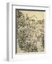 The Flower Garden, c.1888-Vincent van Gogh-Framed Giclee Print