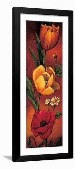 The Flower Garden II-Brian Francis-Framed Art Print