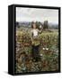 The Flower Girl-Henry Thomas Alken-Framed Stretched Canvas