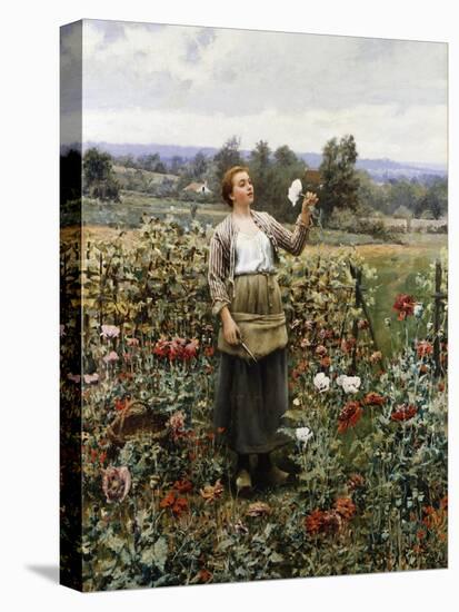 The Flower Girl-Henry Thomas Alken-Stretched Canvas