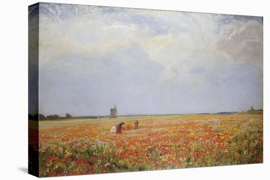 The Flower Pickers-Sir David Murray-Stretched Canvas