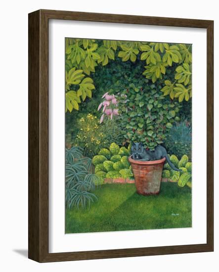 The Flower-Pot Cat-Ditz-Framed Giclee Print