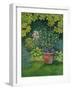 The Flower-Pot Cat-Ditz-Framed Giclee Print