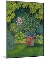The Flower-Pot Cat-Ditz-Mounted Giclee Print