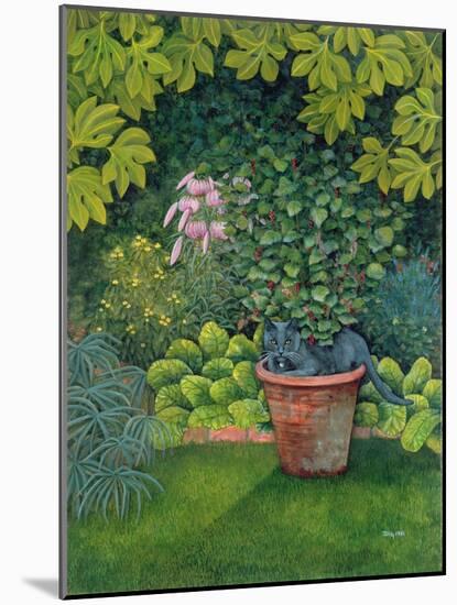 The Flower-Pot Cat-Ditz-Mounted Giclee Print