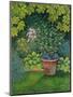 The Flower-Pot Cat-Ditz-Mounted Giclee Print