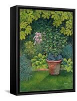 The Flower-Pot Cat-Ditz-Framed Stretched Canvas