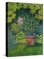 The Flower-Pot Cat-Ditz-Stretched Canvas