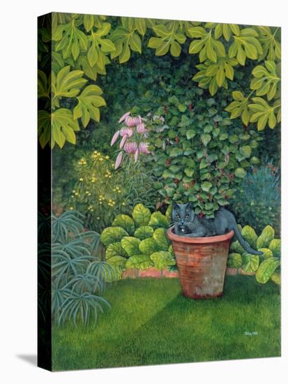 The Flower-Pot Cat-Ditz-Stretched Canvas