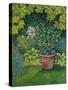 The Flower-Pot Cat-Ditz-Stretched Canvas