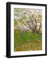 The Flowering Orchard, 1888-Vincent van Gogh-Framed Giclee Print