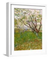 The Flowering Orchard, 1888-Vincent van Gogh-Framed Giclee Print