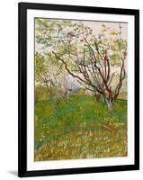 The Flowering Orchard, 1888-Vincent van Gogh-Framed Giclee Print