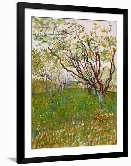 The Flowering Orchard, 1888-Vincent van Gogh-Framed Giclee Print